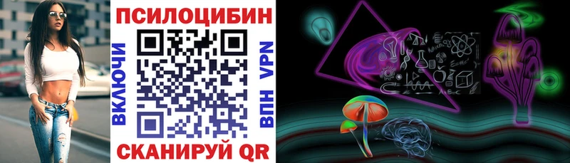 Галлюциногенные грибы GOLDEN TEACHER купить закладку Далматово
